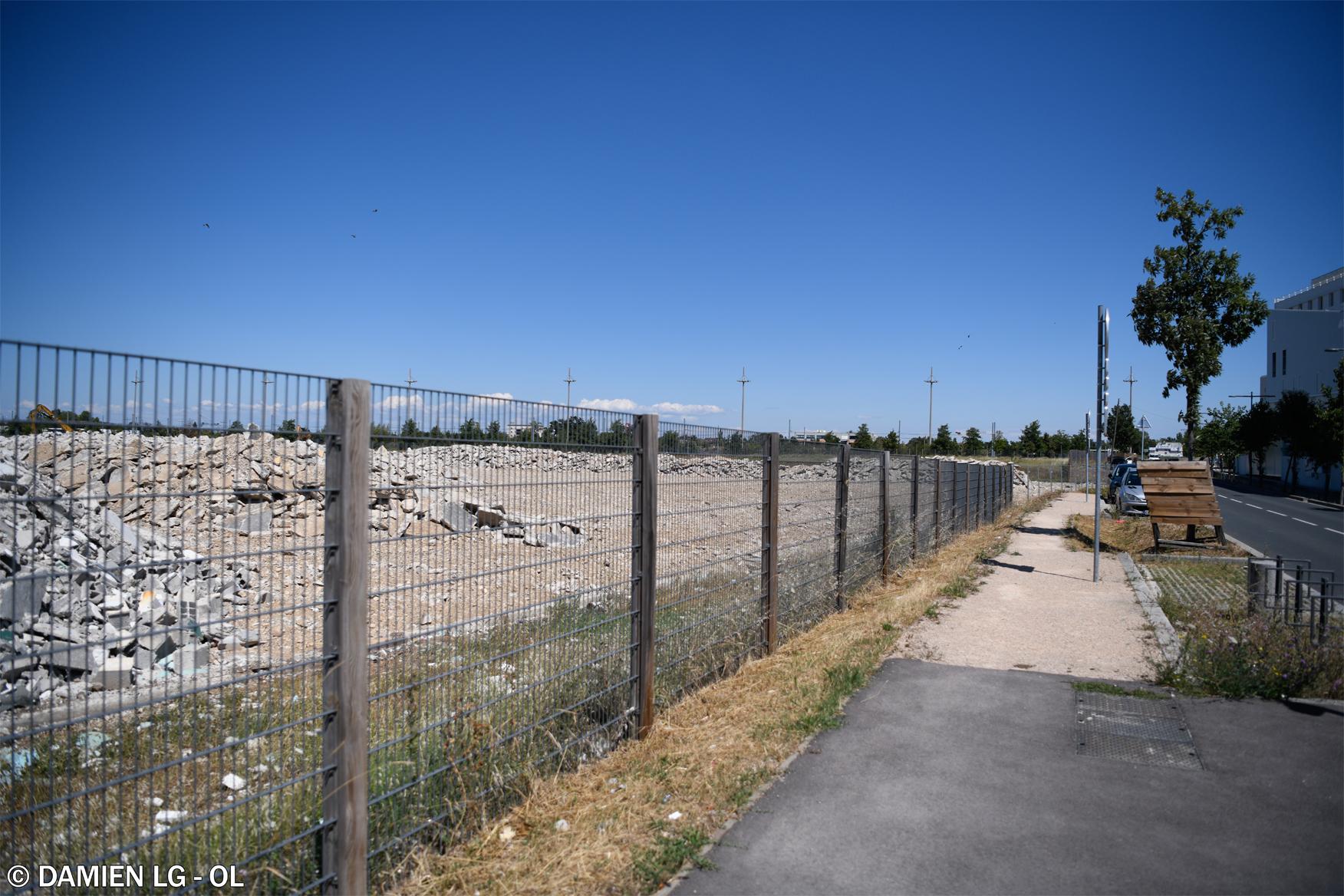 arena olympique lyonnais